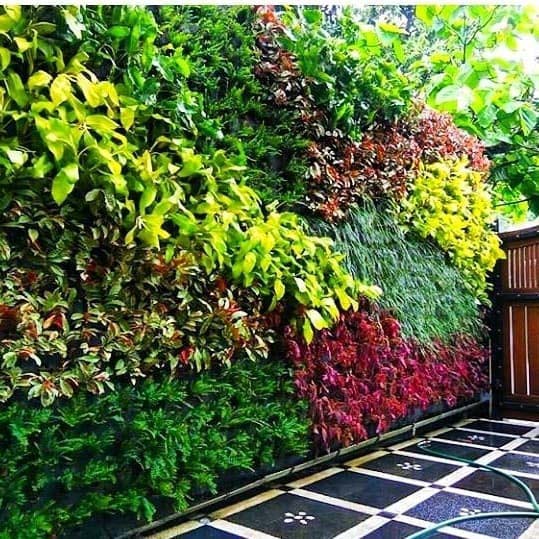 Jasa-Taman-Vertikal-Garden-Kebayoran